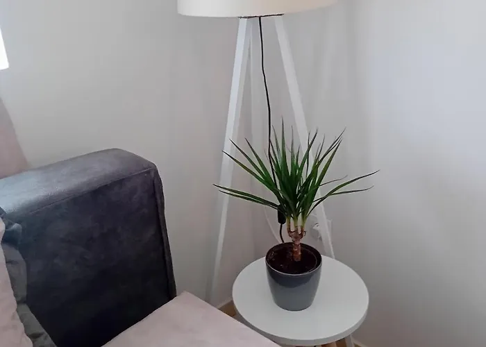 Nika * Подгорица